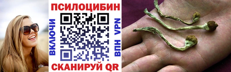 Купить где  Вытегра  Псилоцибиновые грибы Psilocybine cubensis 